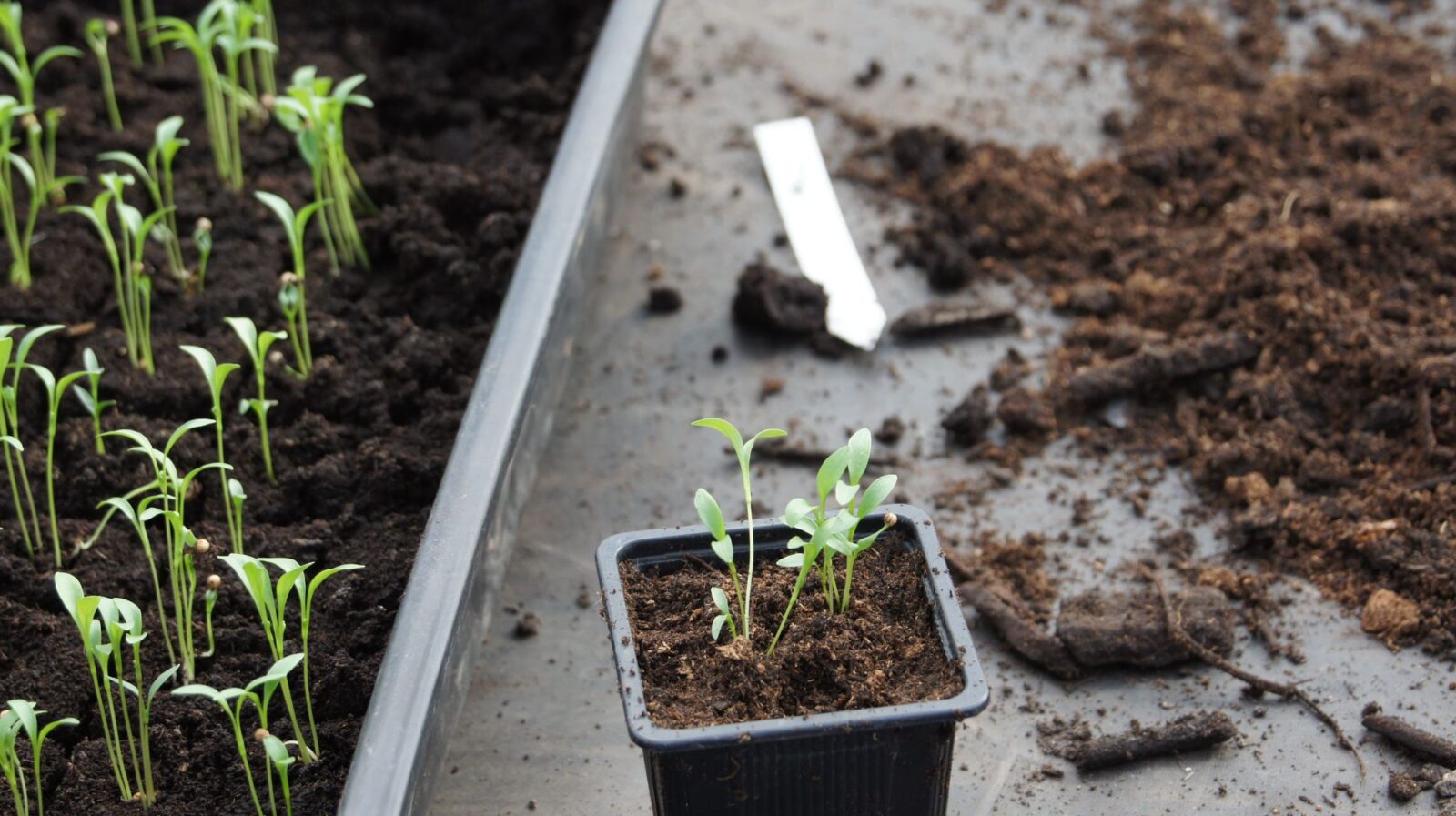 La montée en puissance de l’Observatoire de l’Agriculture Urbaine se poursuit !